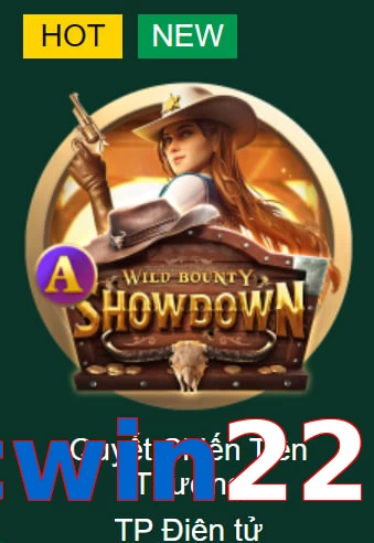 cwin222