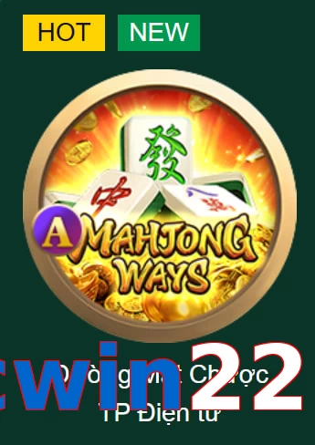 cwin222
